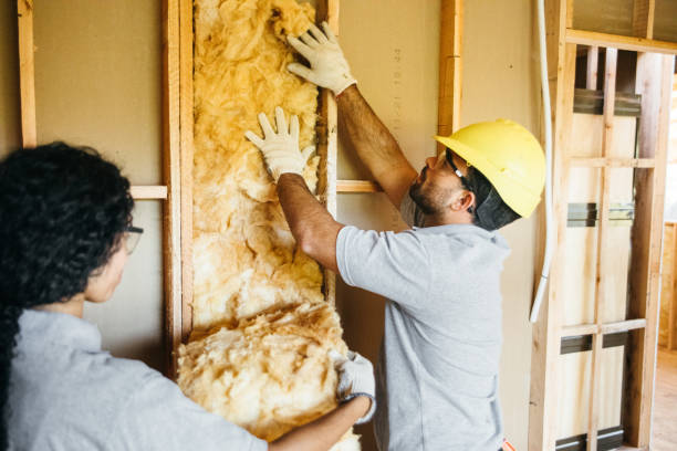 Insulation Inspection Services in Cotulla, TX