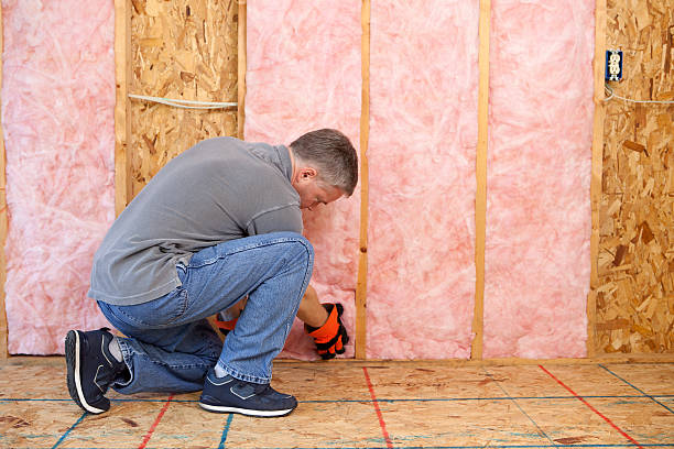 Best Insulation Replacement Services  in Cotulla, TX